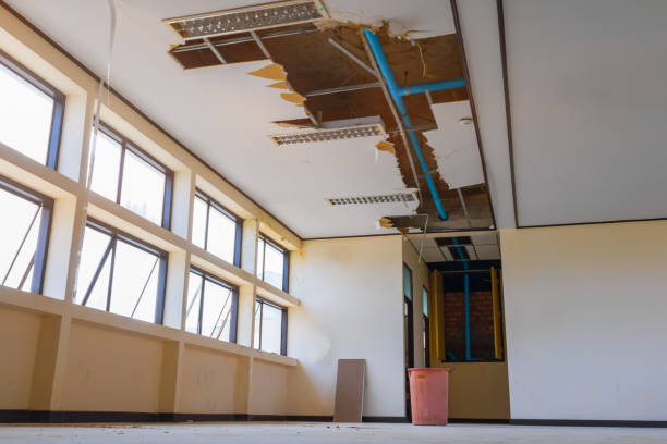 Best Flooded house restoration  in Franklin Furnace, OH