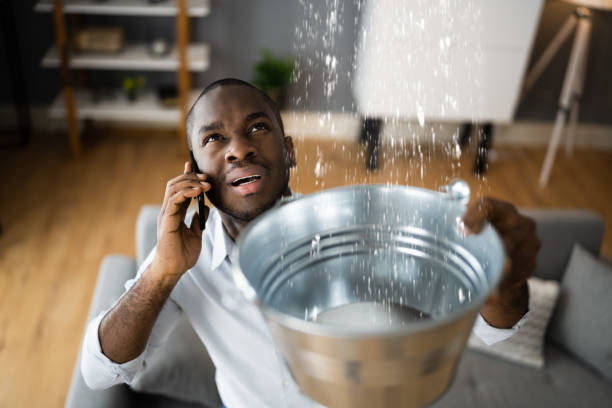 Best Flood restoration services  in Franklin Furnace, OH