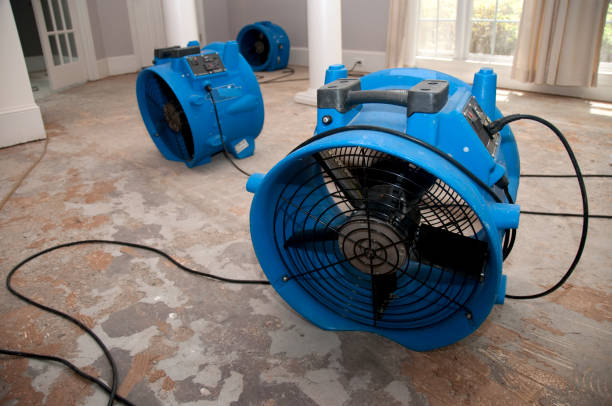 Best Flood damage cleanup  in Franklin Furnace, OH