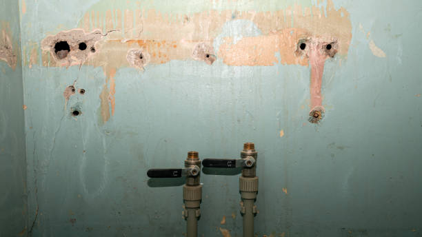 Reliable Franklin Furnace, OH Water damage restoration Solutions
