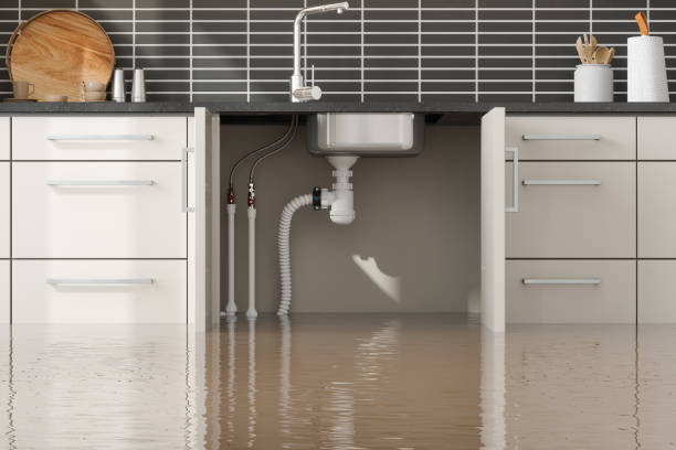 Best Mold removal after water damage  in Franklin Furnace, OH